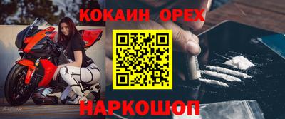 крисы Нальчик