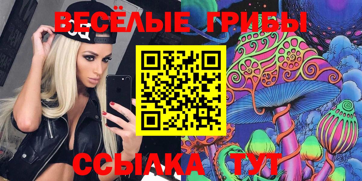 Галлюциногенные грибы ЛСД Сегежа
