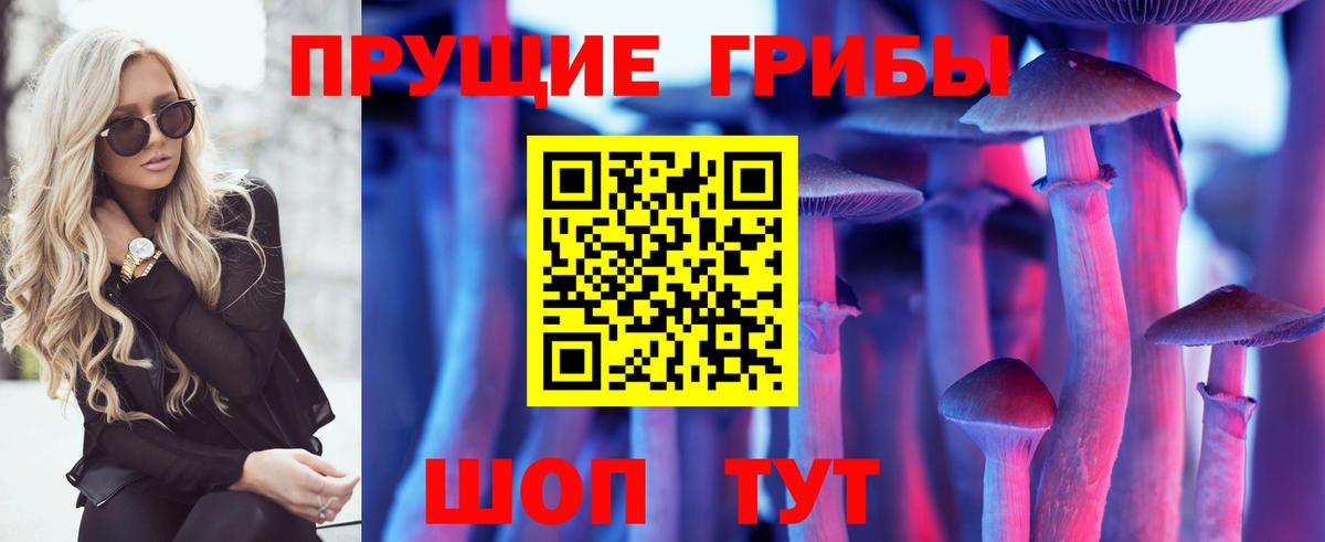 купить наркотик  Псилоцибиновые грибы Psilocybe  Вход с VPN  Сегежа 